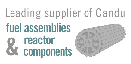 Leading supplier of Candu fuel assemblies & reactor components